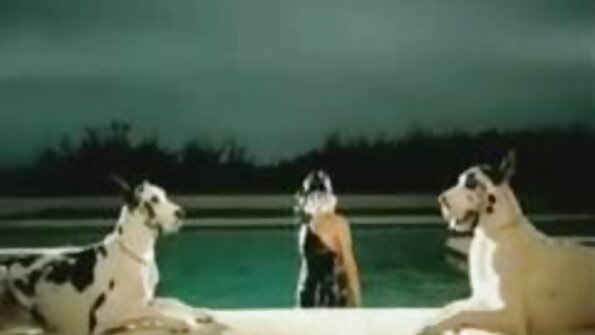 ເປັນ bitch sexy ມີຜົມ curly ຍາວແມ່ນຫົວເຂົ່າຂອງນາງ, ດູດ cock ຂະຫນາດໃຫຍ່